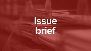 Issue Brief: Modernising Insurance Solvency Regimes